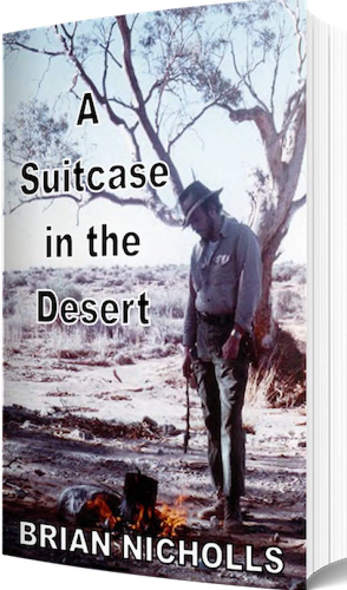 A SUITCASE IN THE DESERT